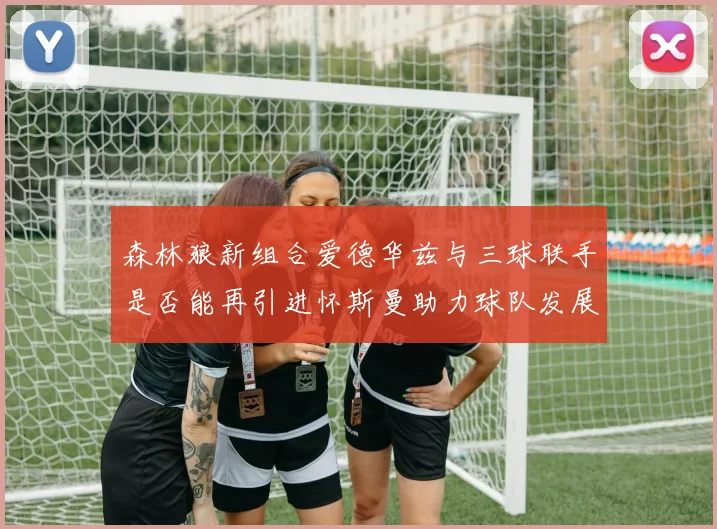 森林狼新组合爱德华兹与三球联手是否能再引进怀斯曼助力球队发展