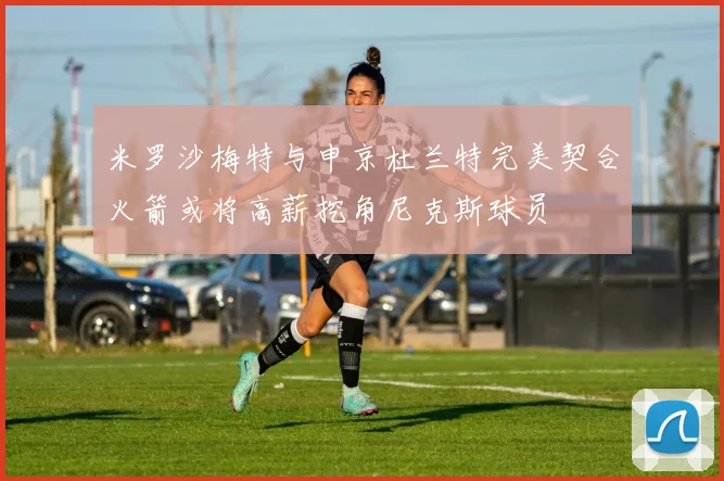 米罗沙梅特与申京杜兰特完美契合火箭或将高薪挖角尼克斯球员