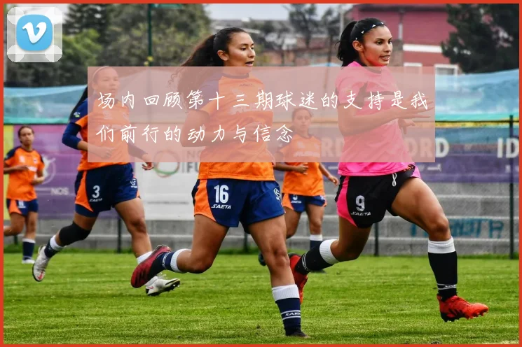 场内回顾第十三期球迷的支持是我们前行的动力与信念
