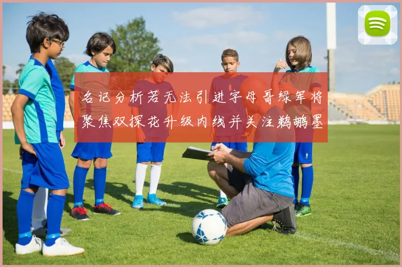 名记分析若无法引进字母哥绿军将聚焦双探花升级内线并关注鹈鹕墨菲