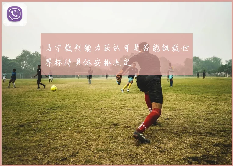 马宁裁判能力获认可是否能执裁世界杯待具体安排决定